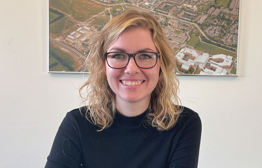 AAU_Megaprojekter_Verbesser